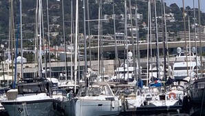Port esportiu amb nombroses embarcacions de vela amarrades, envoltat de turons i edificis al fons.