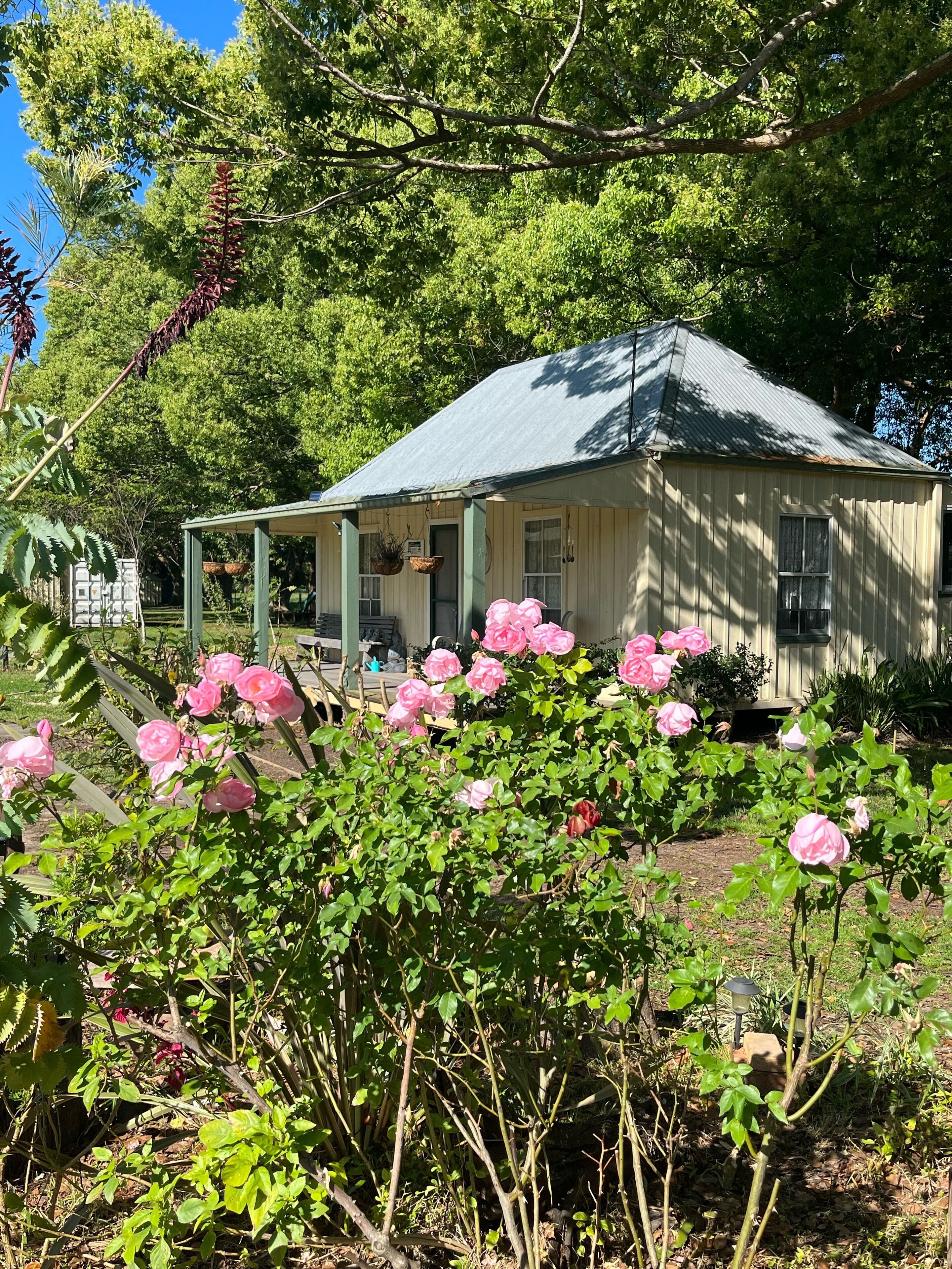 Une petite maison à un seul étage, dotée d’un porche et entourée d’une végétation luxuriante et de fleurs roses.
