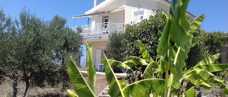 Surrounded by lush greenery, this two-story building offers a serene retreat with a spacious balcony overlooking the surroundings.