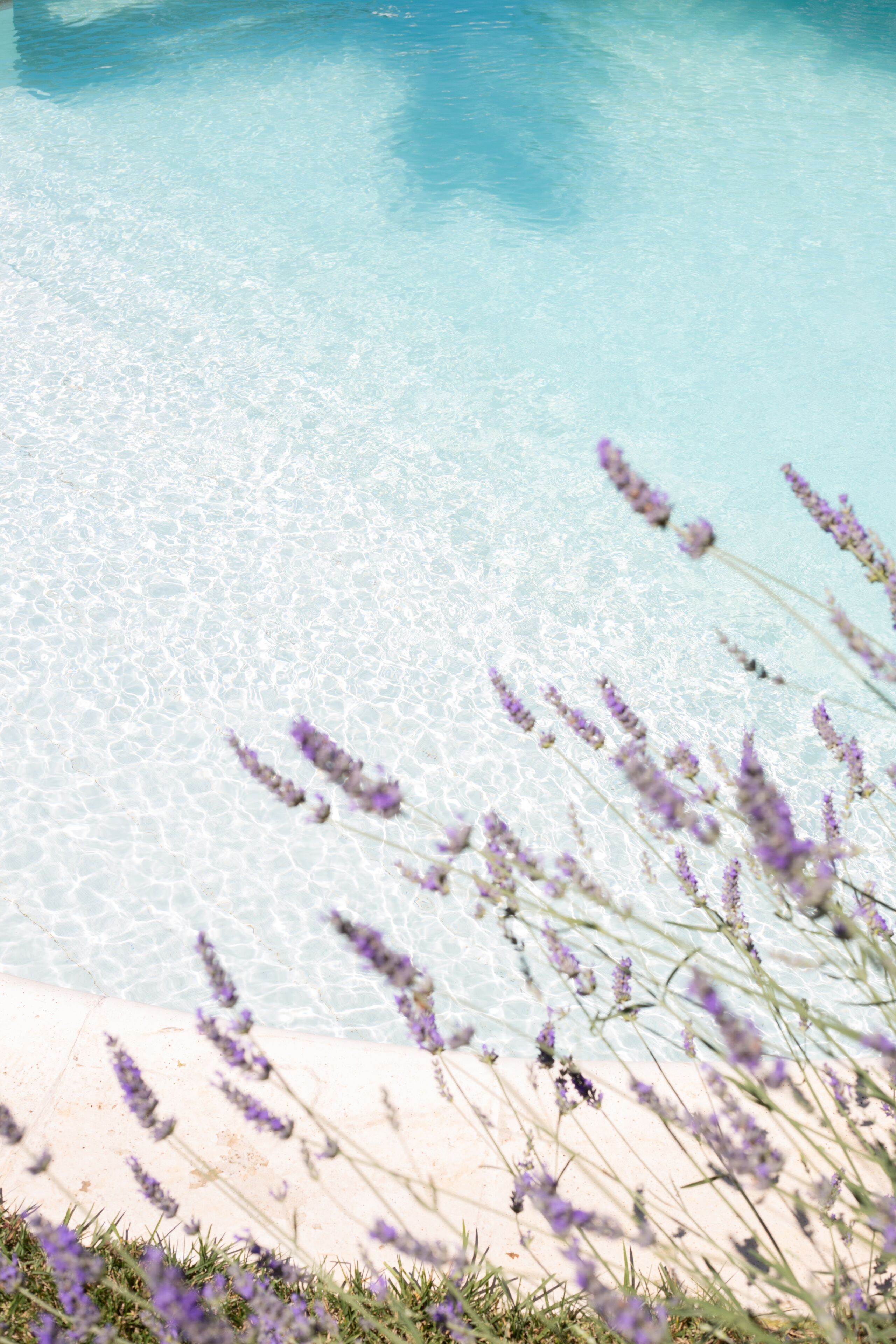 室外游泳池，池畔遮阳伞，日光浴躺椅