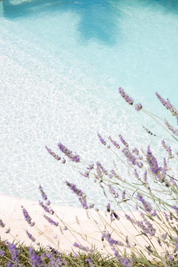 Outdoor pool, pool umbrellas, pool loungers - Masseria Messapia Wine Resort & SPA (Mesagne)