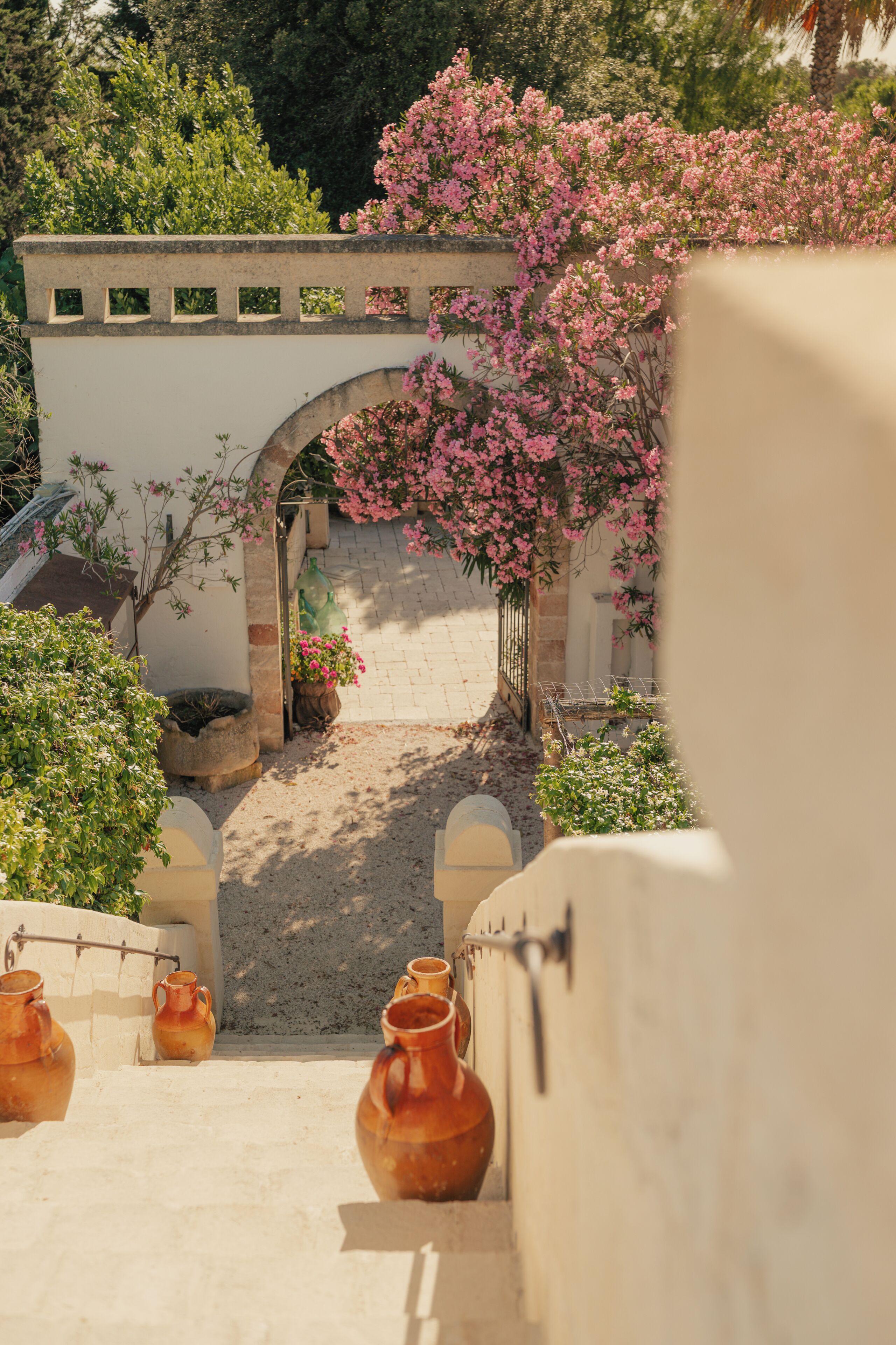 Un patio con pared blanca, un arco y plantas en macetas.