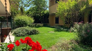 Un jardin bien entretenu, avec une pelouse, divers arbustes et plantes à fleurs.