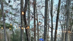 A cobblestone pathway in a park with trees and string lights. - 15 Bedroom, Hot tub, Put Put, Pond, Pool Table (Needmore)