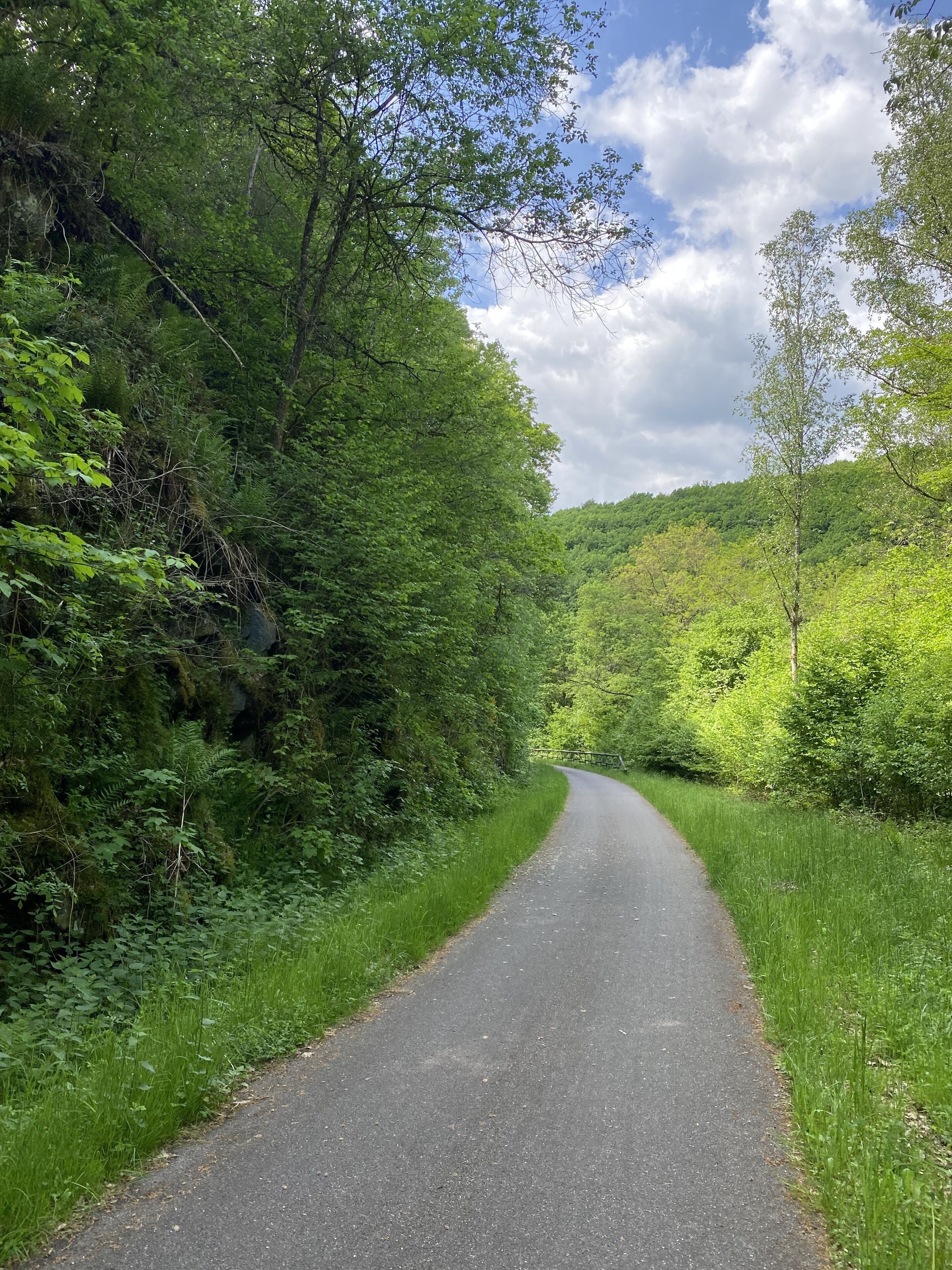 A narrow, winding road surrounded by dense green foliage and trees.