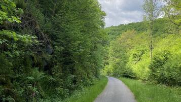 A narrow, winding road surrounded by dense green foliage and trees.