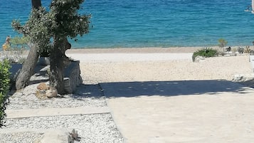 Playa en los alrededores y camastros