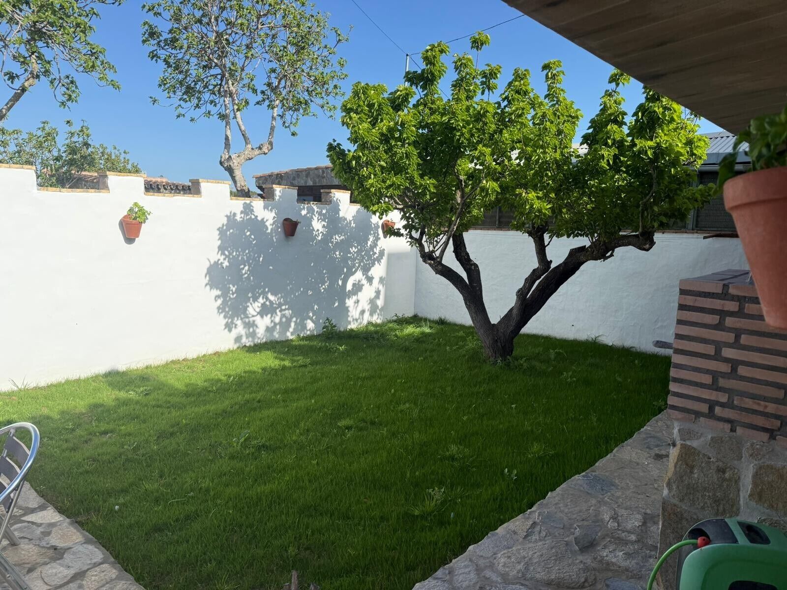 A backyard with a small tree, a lawn, and a brick wall.