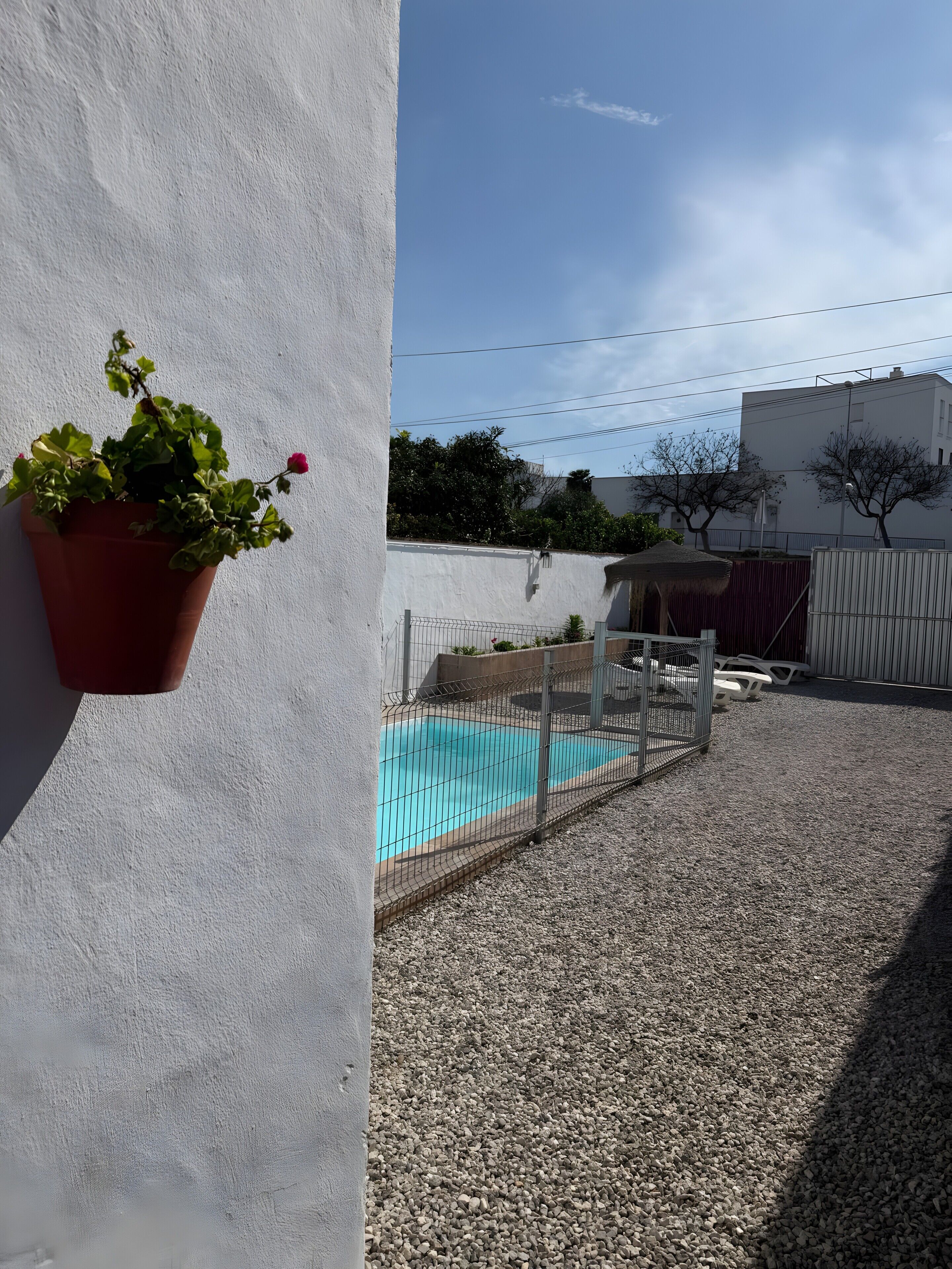 Una piscina rodeada por un área de grava, un muro blanco y una planta en maceta.