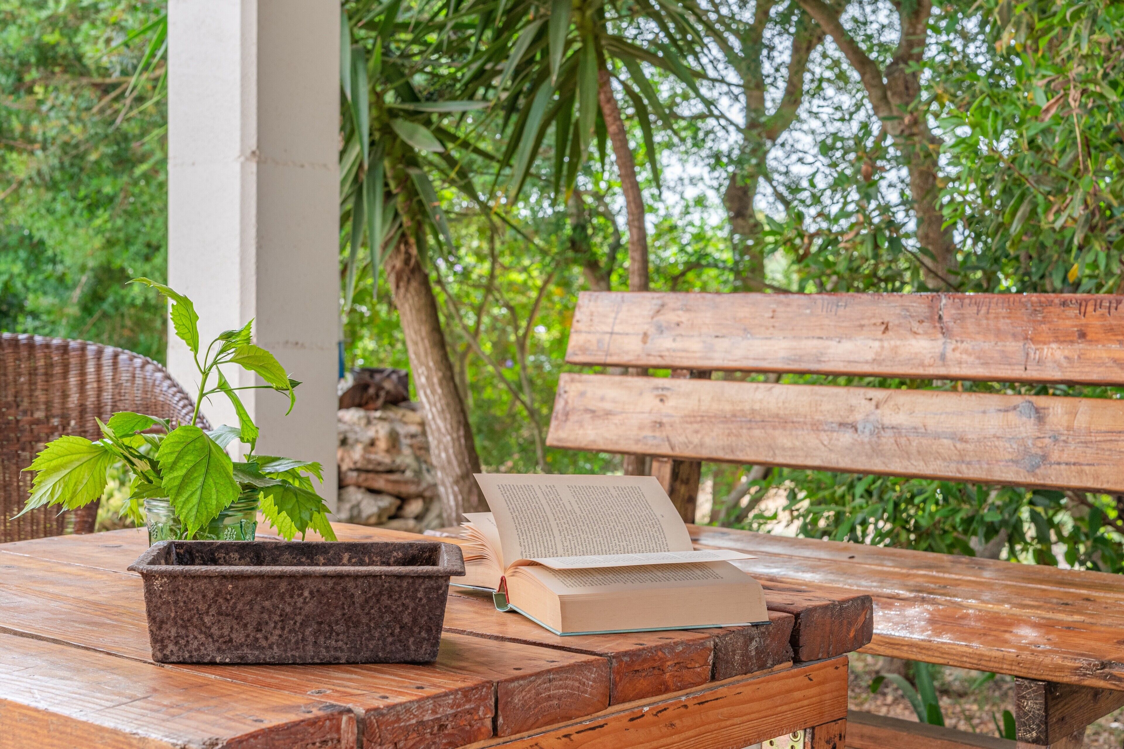 Een houten tafel met een boek en een potplant.