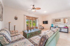 Télévision, cheminée, lecteur de DVD, chaîne hi-fi