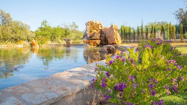 Un entorno exterior tranquilo con un estanque, una estructura de piedra y abundante vegetación.