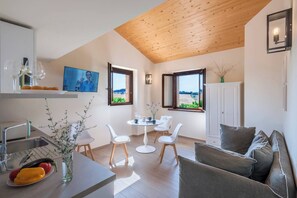 Televisión, chimenea y libros 