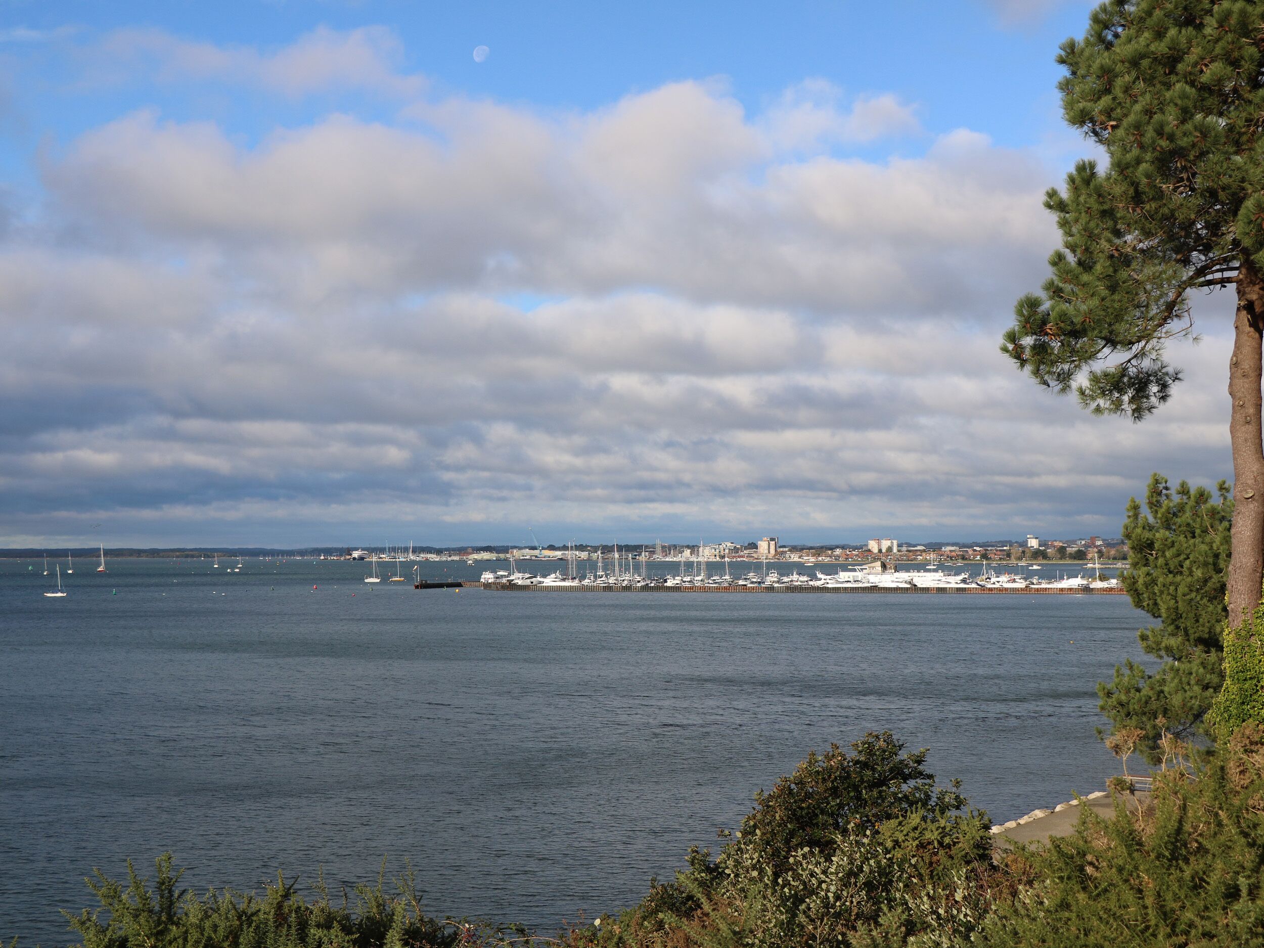 Vista costera con un puerto deportivo, barcos y un horizonte urbano distante.