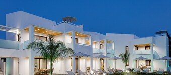 Coconut Palm Paradise