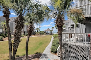 Terrain de l’hébergement 