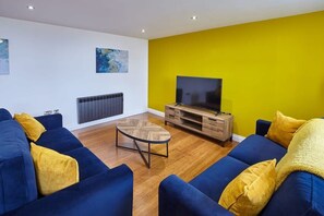 Fernseher, Arbeitsbereiche