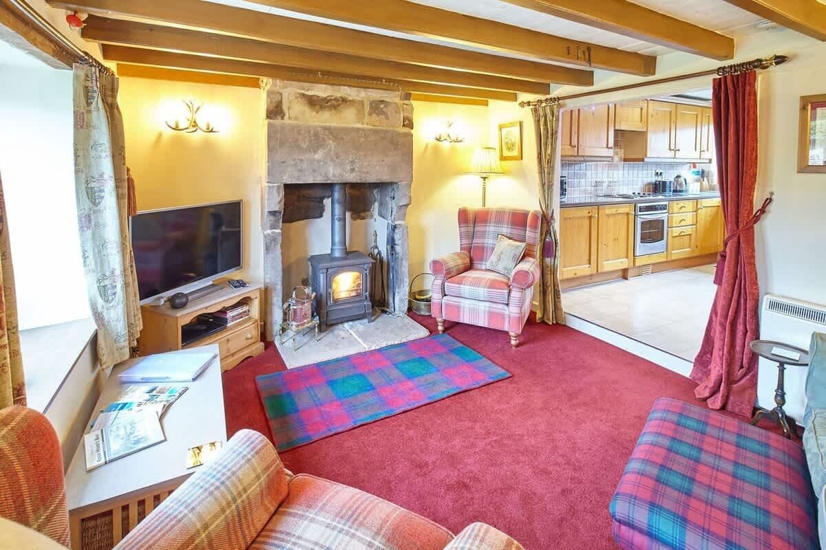 TV, fireplace, books, offices
