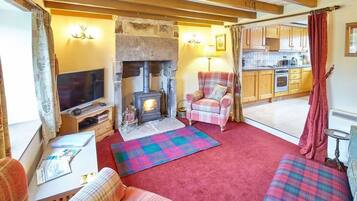 TV, fireplace, books, offices