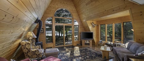 TV, fireplace, video games, books