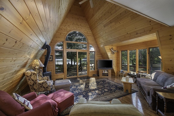 Televisor, llar de foc, videojocs i llibres