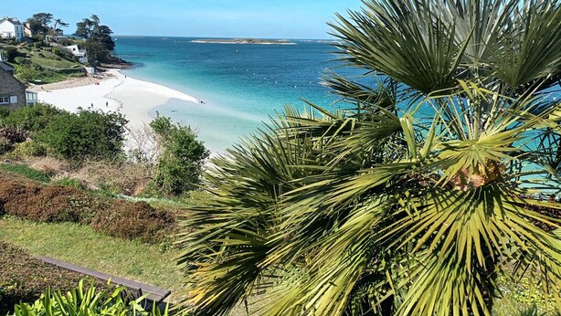 A coastal view with a beach, clear blue sea, and lush greenery.
