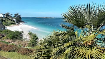 Plage, chaises longues