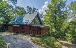 Une cabane en bois avec un toit vert, entourée d’arbres.