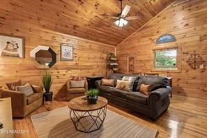 TV connectée, lecteur de DVD, médiathèque, vidéothèque