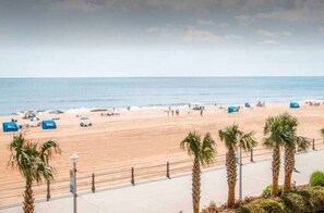 بالقرب من الشاطئ