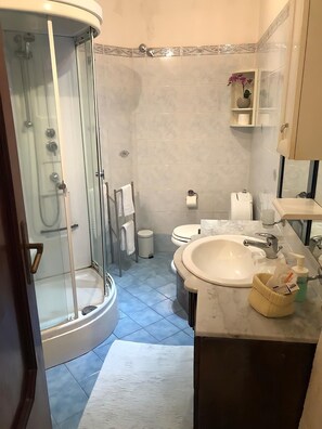 淋浴设施、坐浴桶、卫生纸