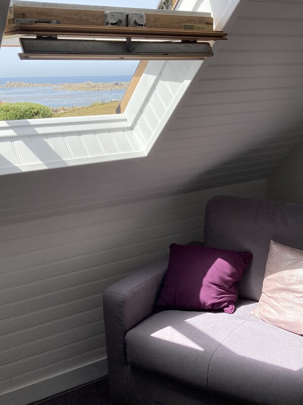 Una habitación con tragaluz, un sofá gris y una almohada morada.