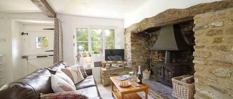 TV, fireplace, books, offices