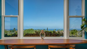Une pièce avec une table en bois et deux chaises, une vue sur l’océan et une plante sur le côté droit.