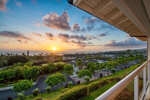 Property grounds - Ocean Views in Na Hale O Keauhou (KAILUA-KONA)