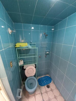 Douche, serviettes fournies
