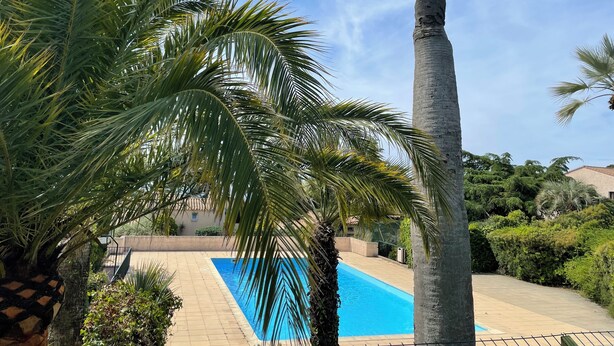 Area piscina con palme e cielo azzurro intenso.