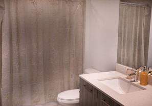 Combined shower/tub, hair dryer, soap, shampoo