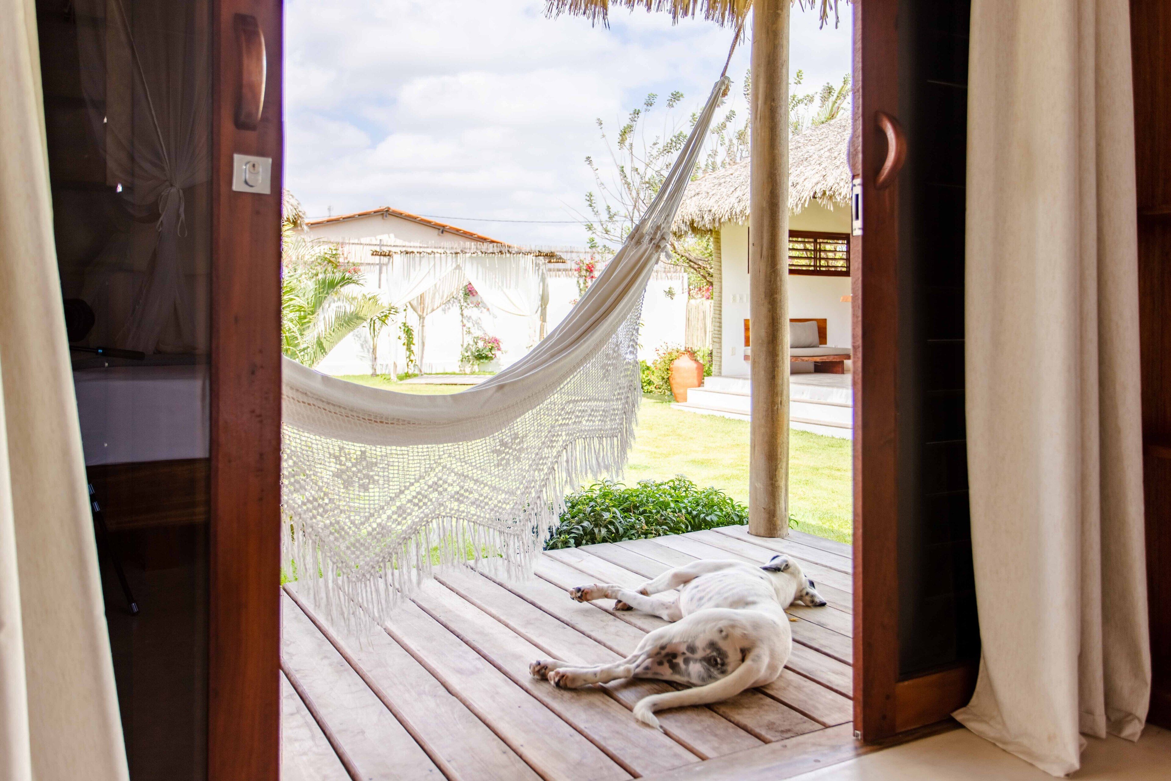 Vista desde la habitación