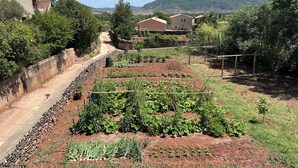 Un jardin avec des parcelles potagères, un chemin pavé et des maisons en arrière-plan.