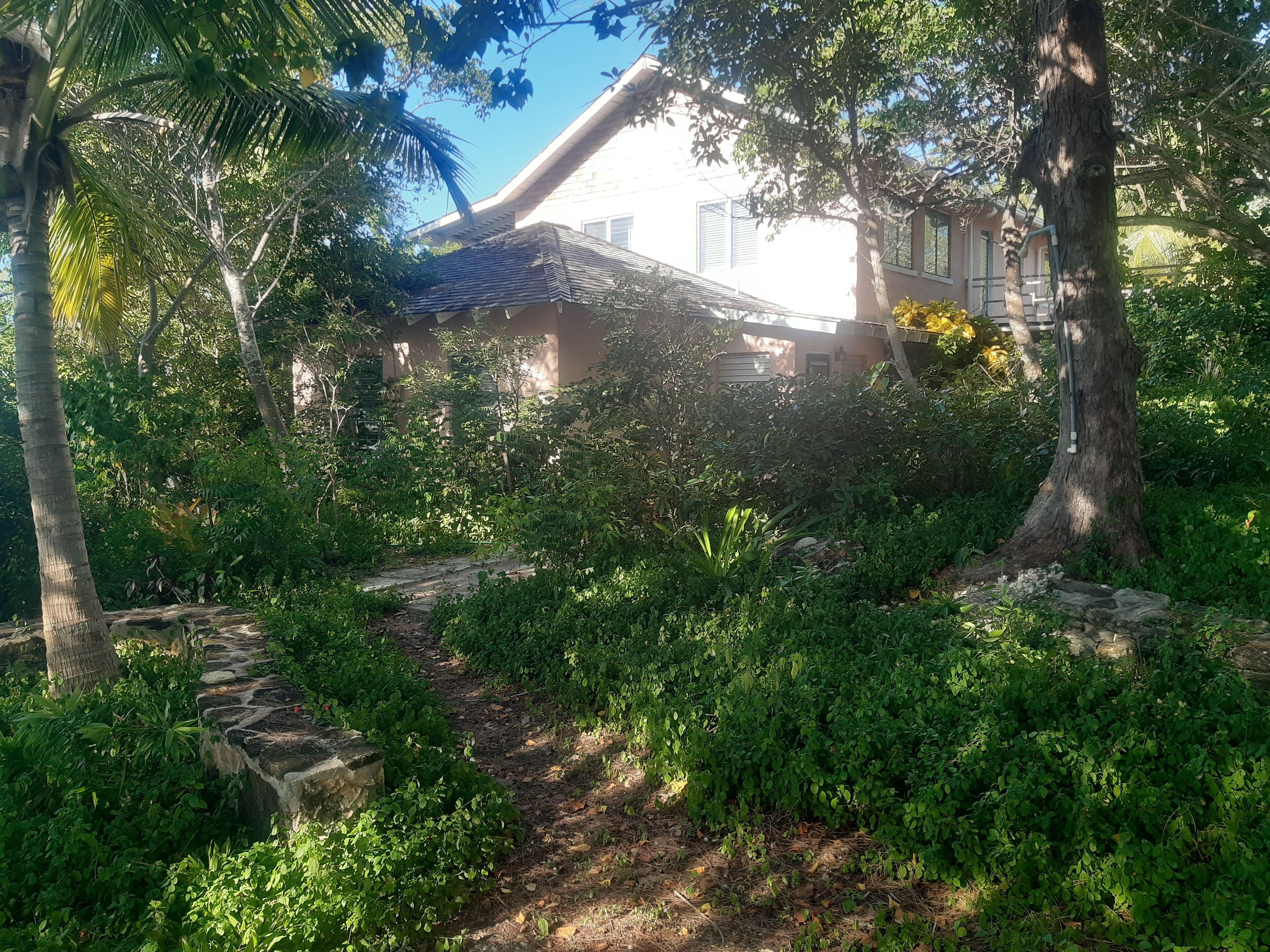 Ein üppiger Garten mit einem Steinweg, der zu einem Gebäude mit einem Ziegeldach führt.