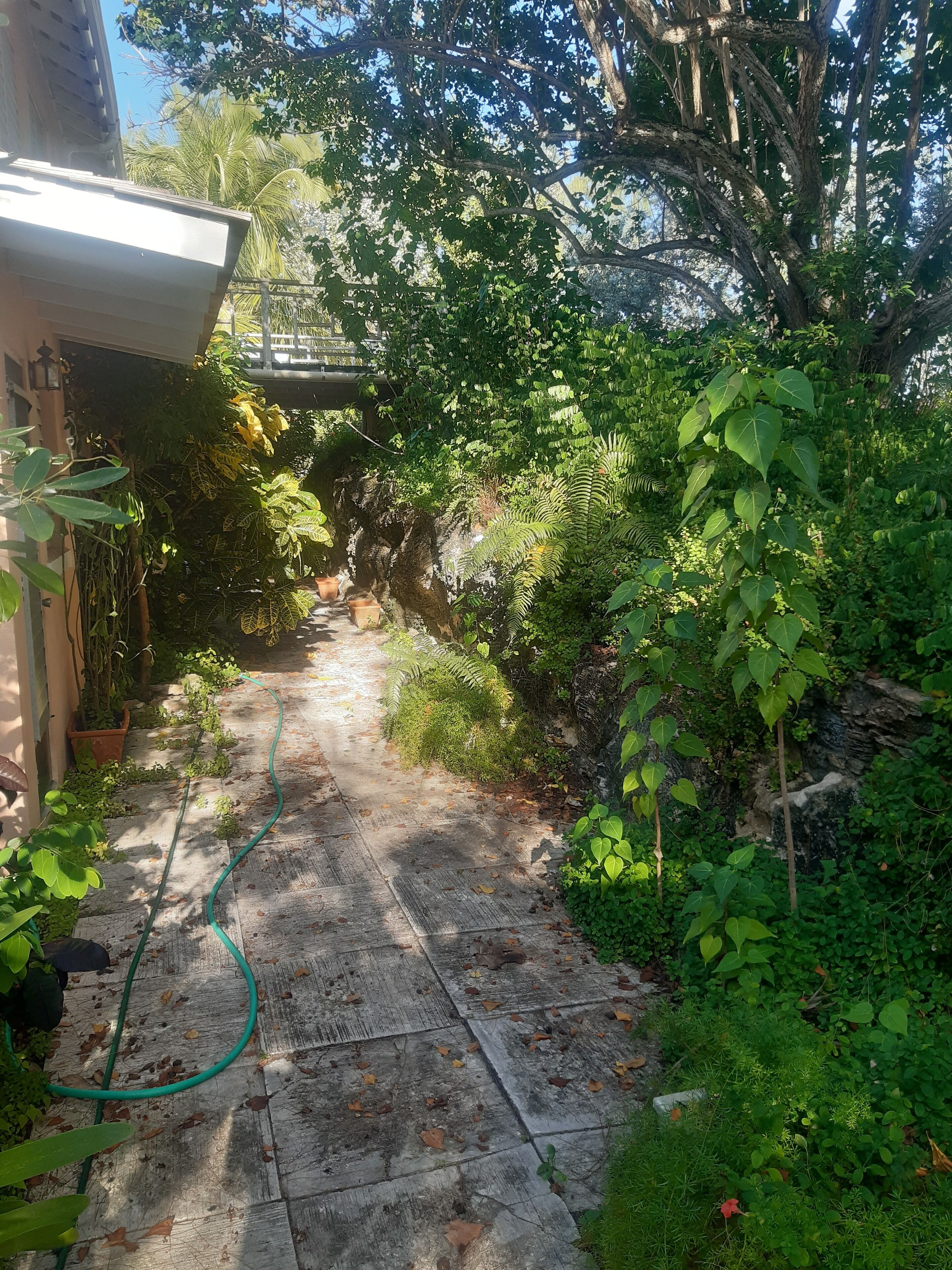 A narrow stone pathway flanked by lush greenery and potted plants, leading to a covered area with a wooden roof.