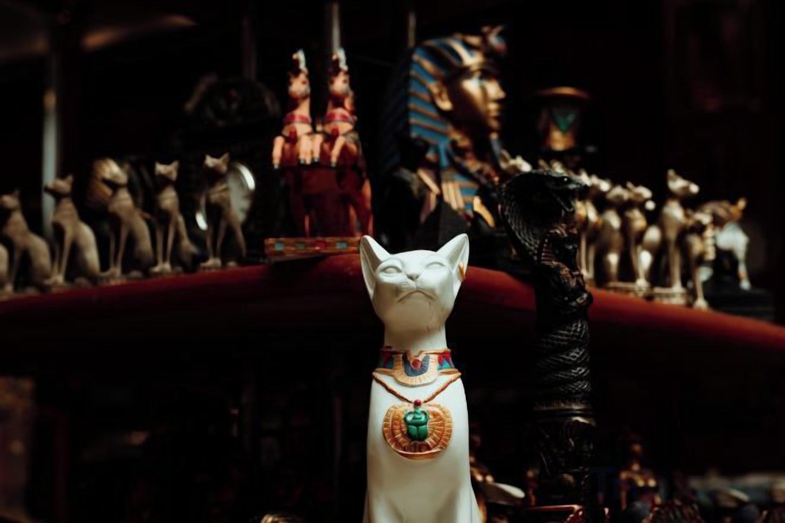 Un chat blanc avec un collier, et une statue représentant une figure en arrière-plan.