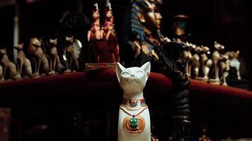 A white cat with a collar and a statue of a figure in the background.