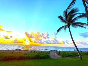A beach scene with a palm tree, ocean, and sunset. - Unforgettable Vacation Home! Walk To Deerfield Beach, Restaurants & Shops (Deerfield Beach)