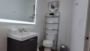 A bathroom with a white sink, a mirror, a toilet, and a shelf with a plant.