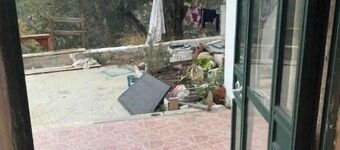 RED KINGDOM WITH MOUNTAIN VIEW