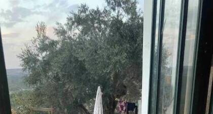 RED KINGDOM WITH MOUNTAIN VIEW