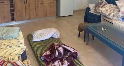 BLUE KINGDOM 1 BEDROOM, 1 BATHROOM, AND AN KITCHEN