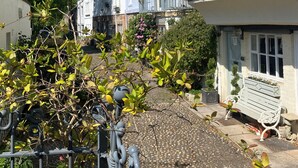Uklassifisert bilde, 4 av 29, knapp
